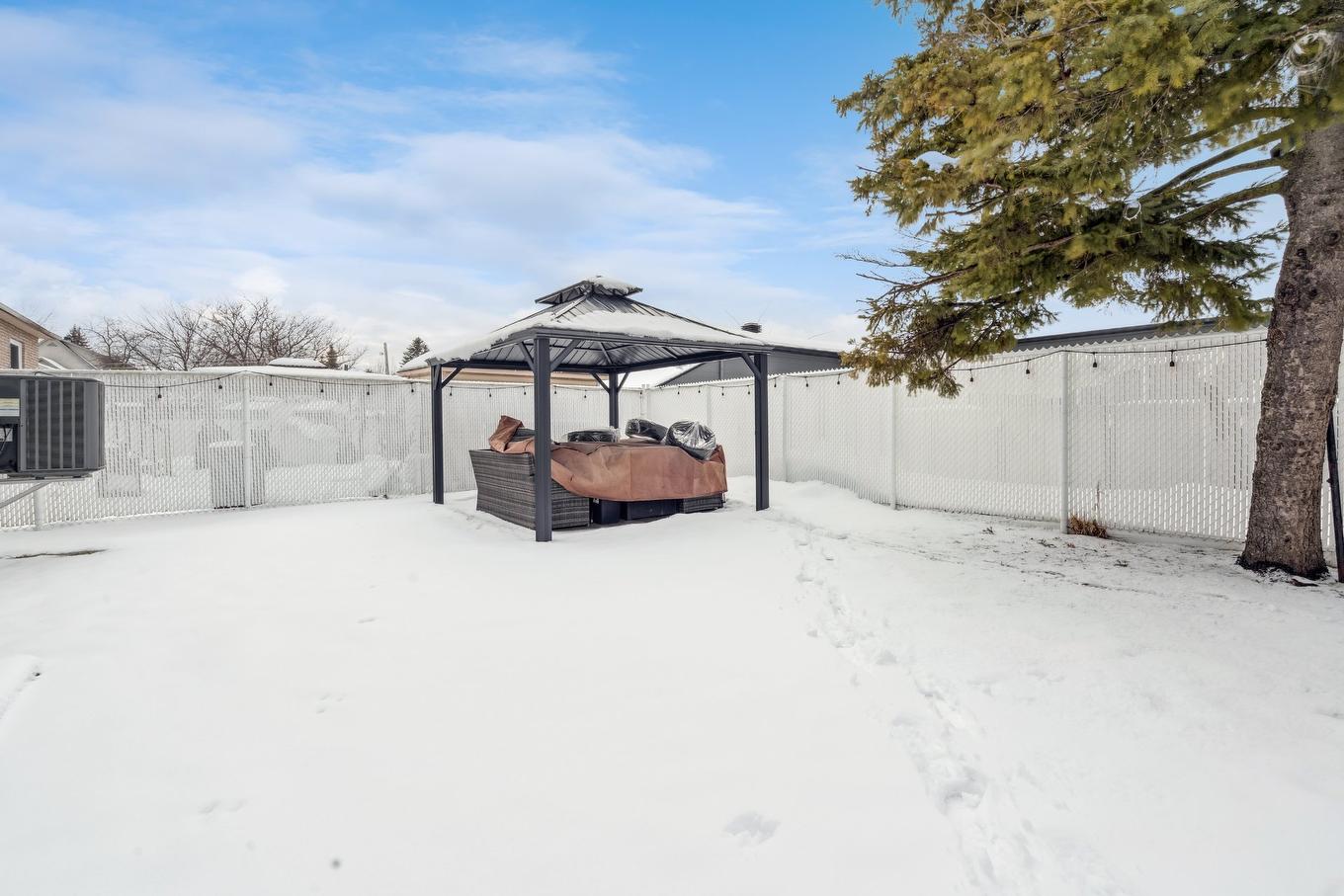 Cour - 3444 Rue Du Collège, Longueuil (Saint-Hubert), QC - Outdoor