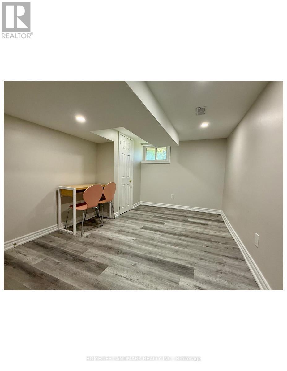 Basement Br#2 - 17 Arkell Street, Hamilton, ON - Indoor