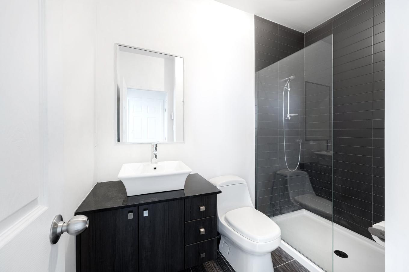 Bathroom - 1212-4975 Rue Jean-Talon O., Montréal (Côte-Des-Neiges/Notre-Dame-De-Grâce), QC - Indoor Photo Showing Bathroom