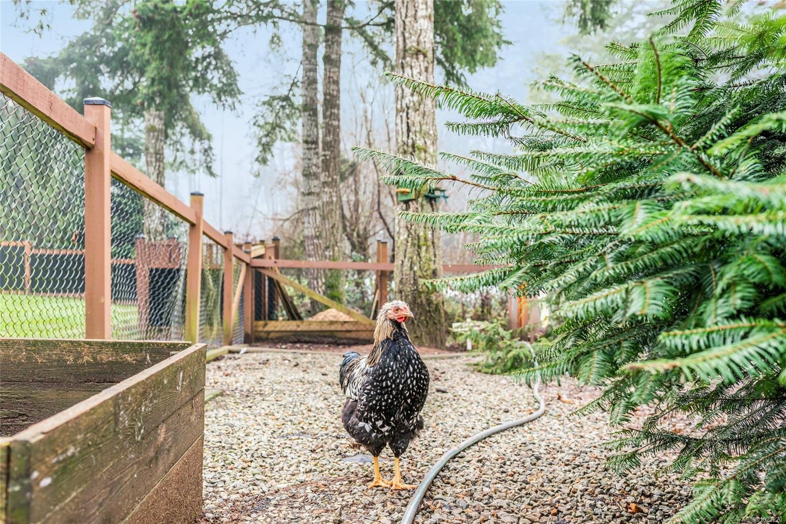 6126 Renton Rd, Port Alberni, BC