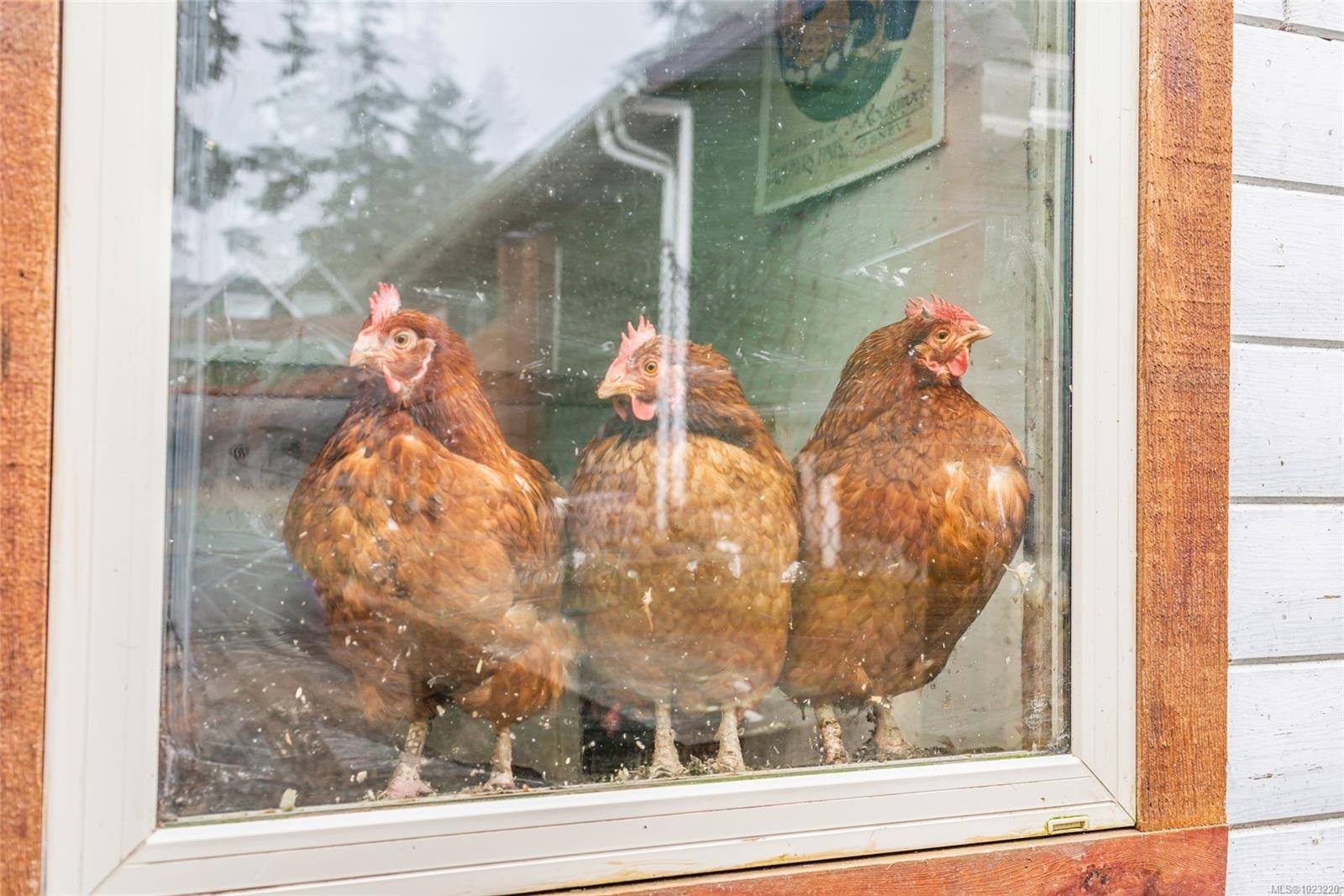 6126 Renton Rd, Port Alberni, BC