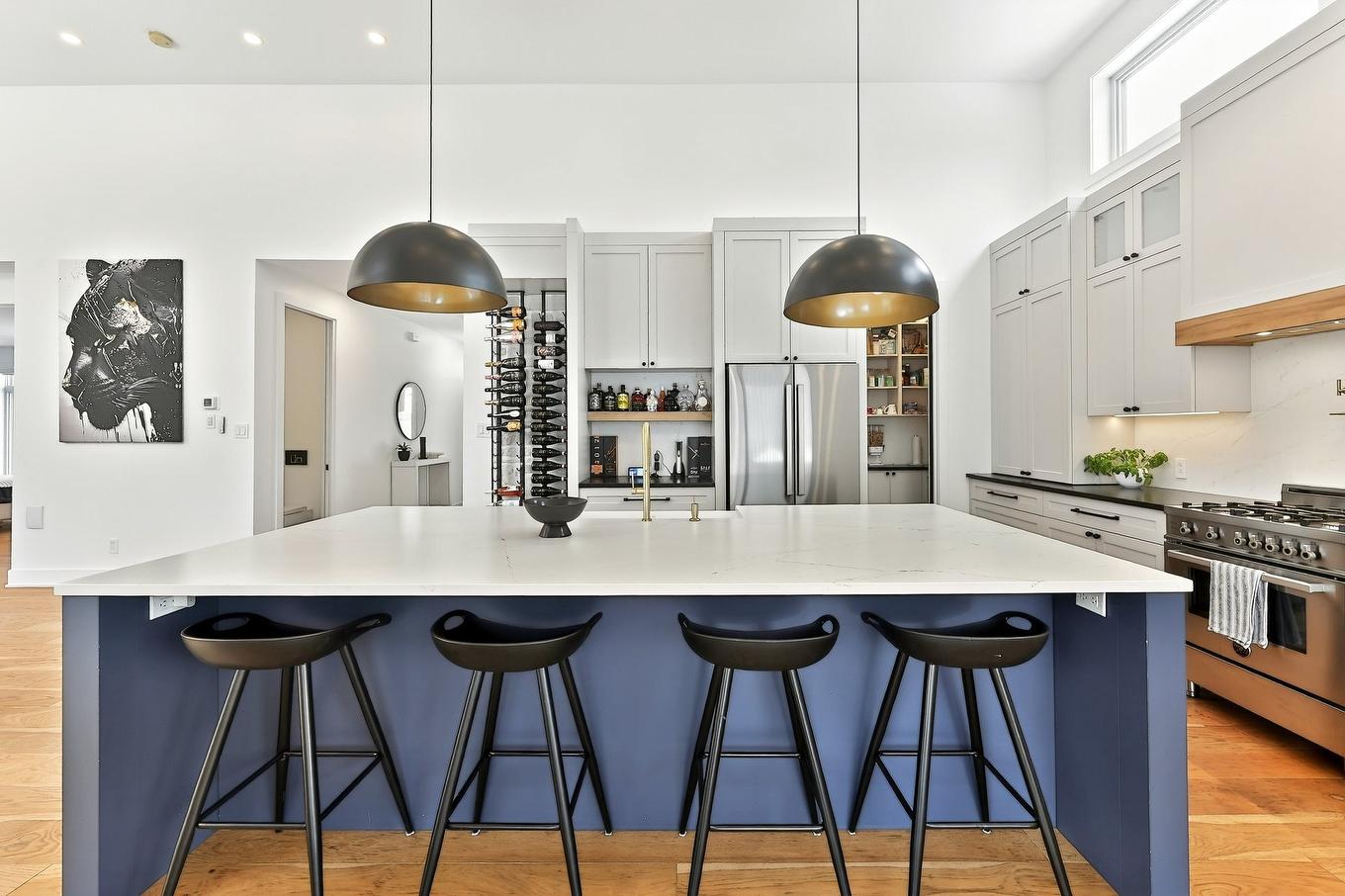 Cuisine - 62 Rue Monette, Saint-Hippolyte, QC - Indoor Photo Showing Kitchen With Upgraded Kitchen