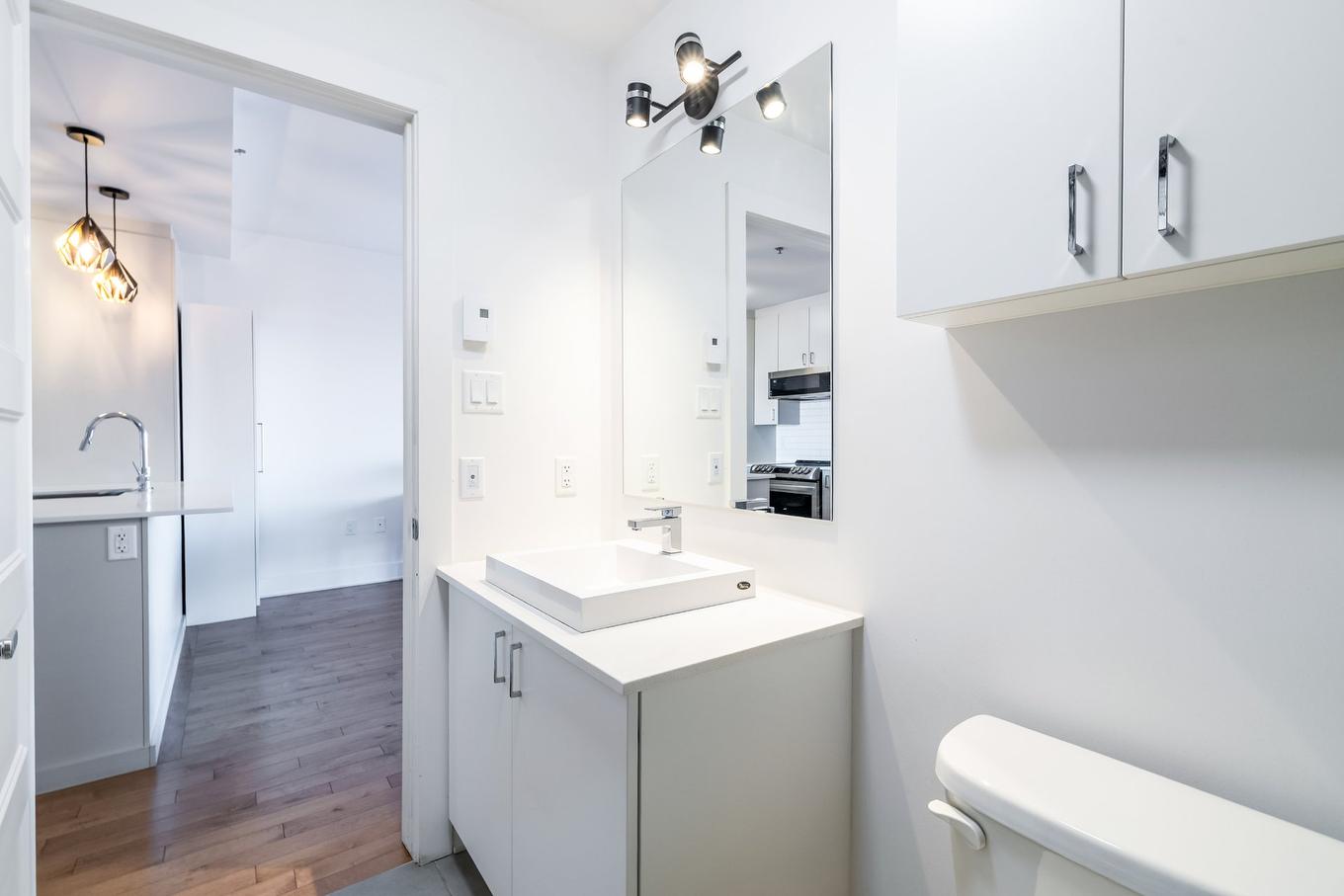 Salle de bains - 402-3950 Rue Sherbrooke E., Montréal (Mercier/Hochelaga-Maisonneuve), QC - Indoor Photo Showing Bathroom