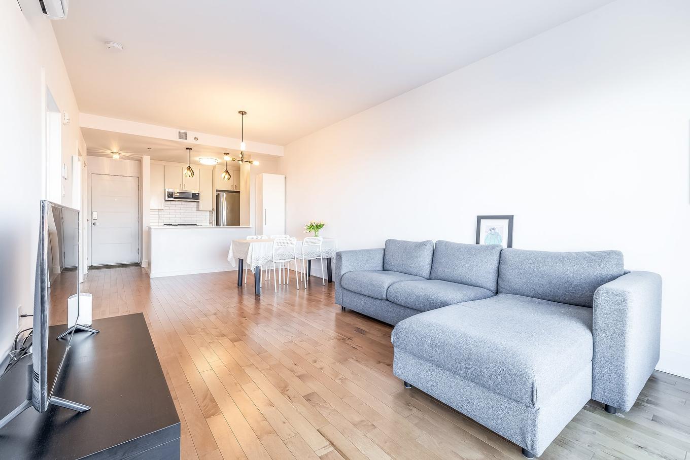 Salon - 402-3950 Rue Sherbrooke E., Montréal (Mercier/Hochelaga-Maisonneuve), QC - Indoor Photo Showing Living Room