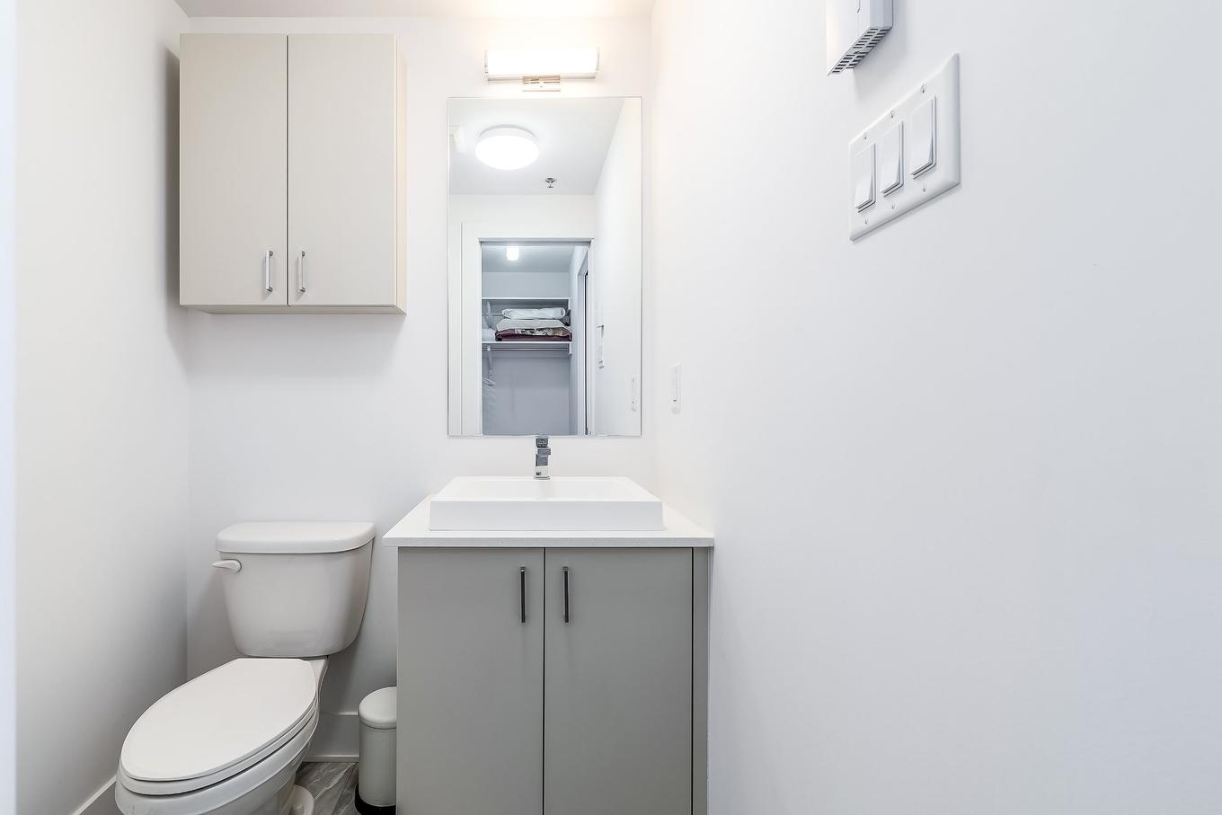 Salle d'eau - 402-3950 Rue Sherbrooke E., Montréal (Mercier/Hochelaga-Maisonneuve), QC - Indoor Photo Showing Bathroom