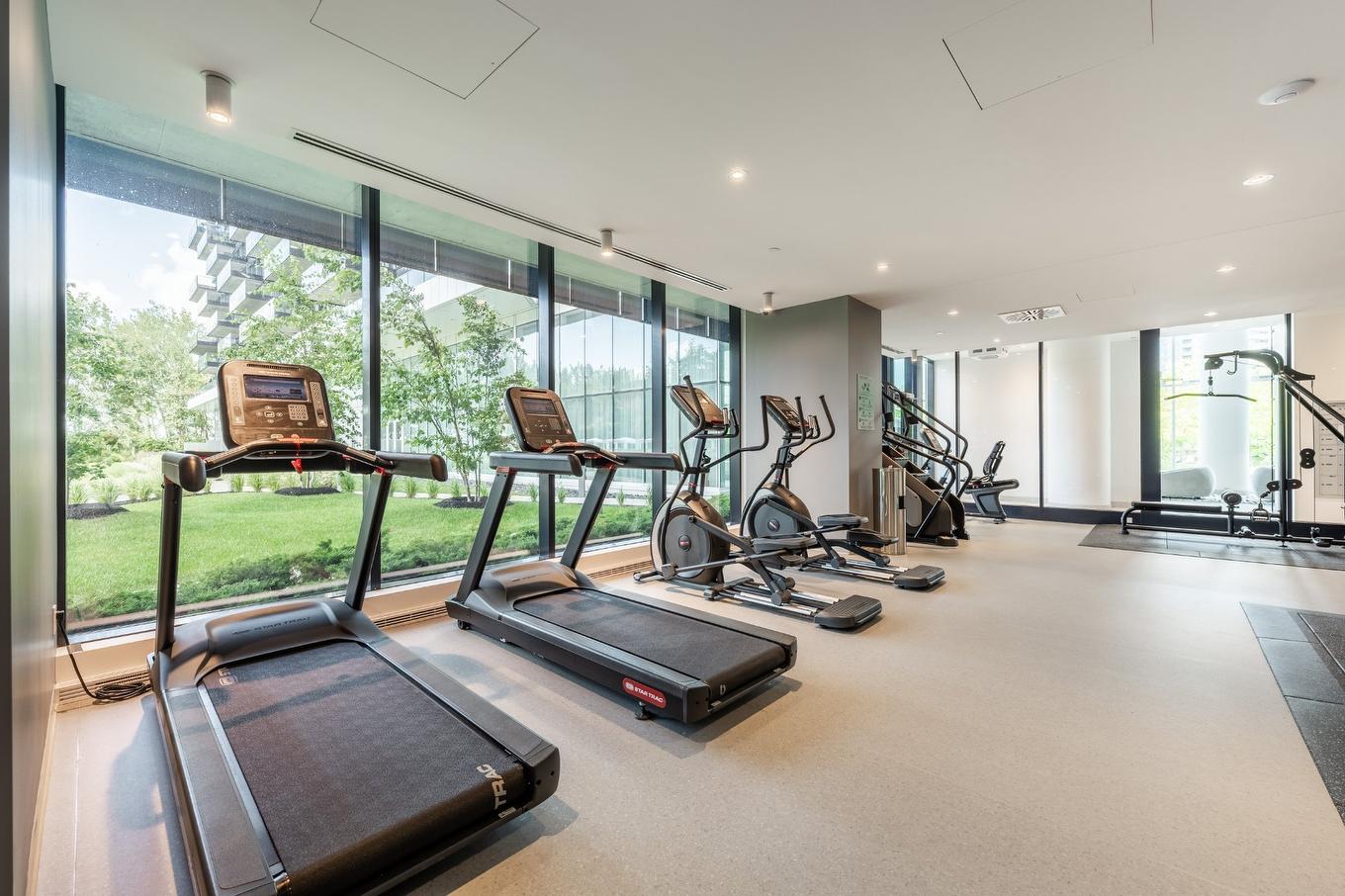 Exercise room - 910-900 Rue André-Prévost, Montréal (Verdun/Île-Des-Soeurs), QC - Indoor Photo Showing Gym Room