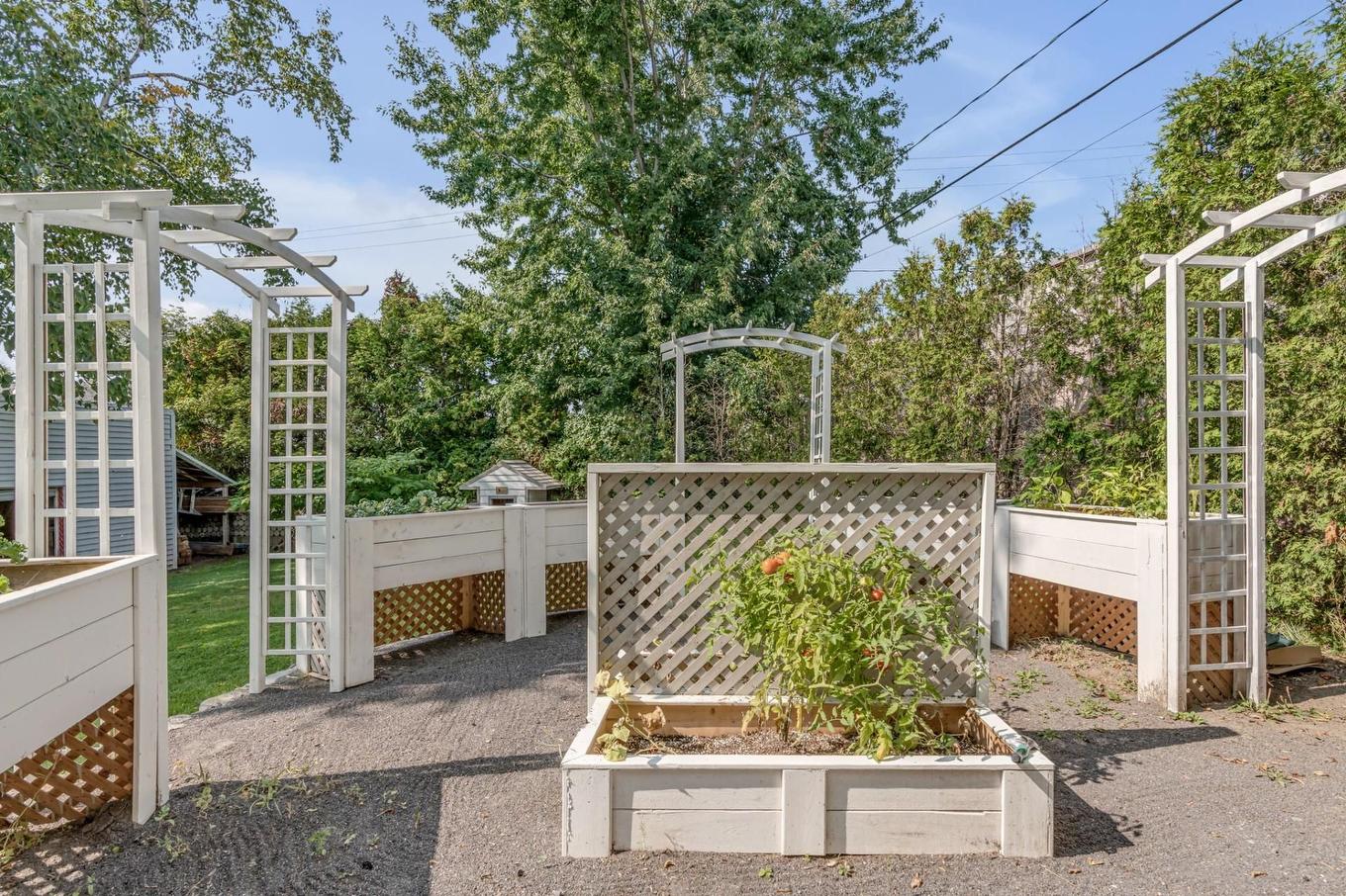 Backyard - 30 Rue St-Raphaël, Québec (Beauport), QC - Outdoor