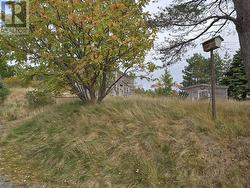 5-9 Spracklins Lane Brigus, NL A0A 1K0