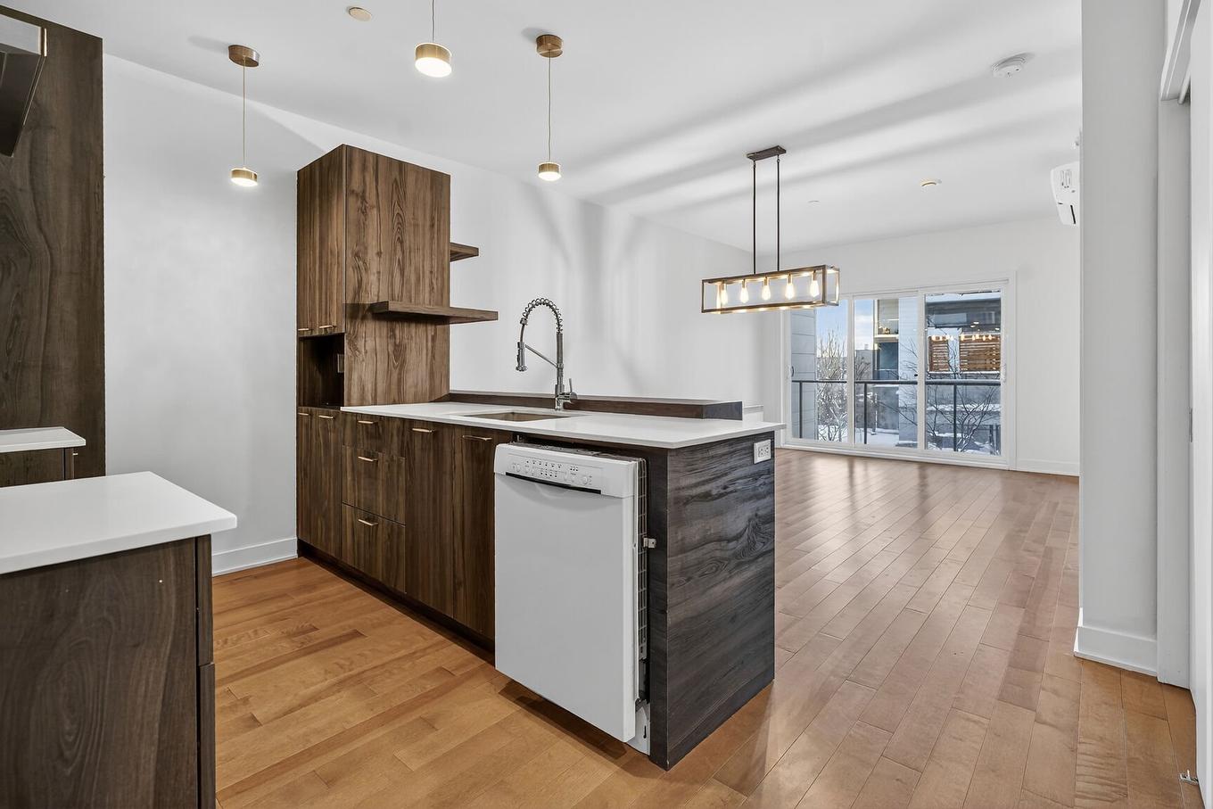 Cuisine - 215-5700 Rue Garnier, Montréal (Rosemont/La Petite-Patrie), QC - Indoor Photo Showing Kitchen With Double Sink