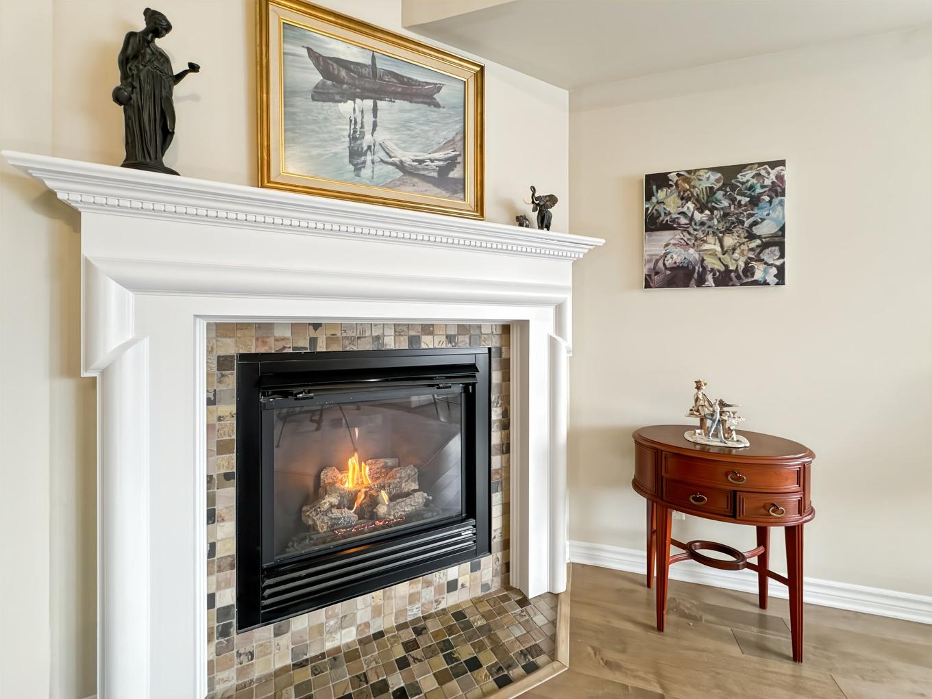 Salon - 201-1346 Rue Du Jardin, Longueuil (Le Vieux-Longueuil), QC - Indoor Photo Showing Living Room With Fireplace
