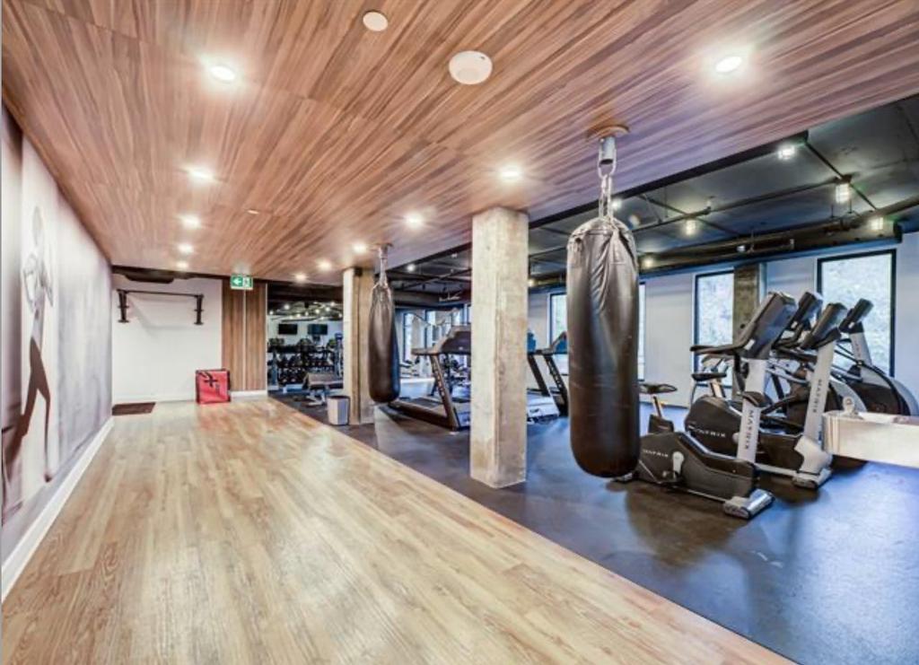 Salle d'exercice - 1223-1 Boul. De Maisonneuve O., Montréal (Ville-Marie), QC - Indoor Photo Showing Gym Room