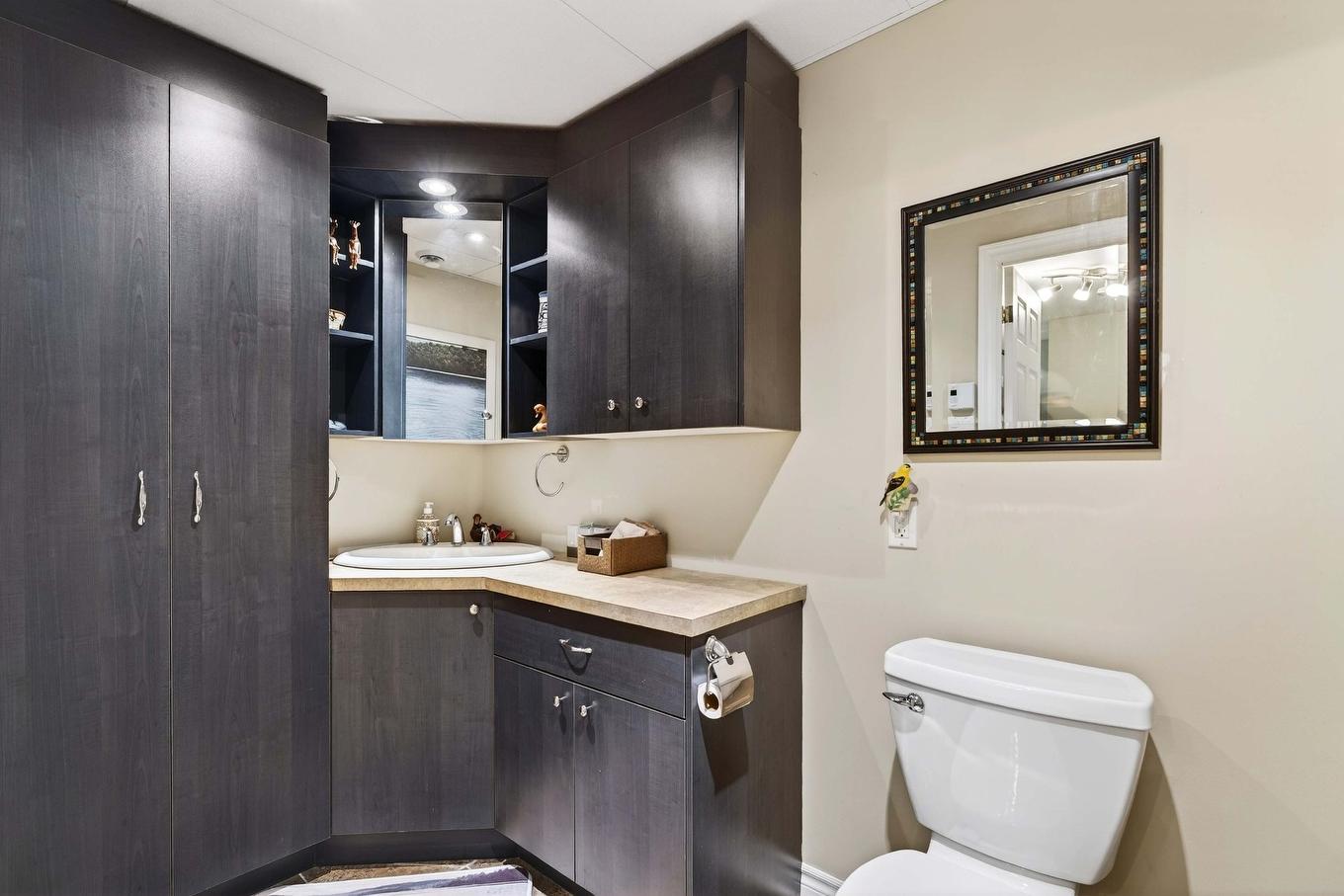 Salle d'eau - 1816 Ch. Du Lac-Boileau O., Rivière-Rouge, QC - Indoor Photo Showing Bathroom