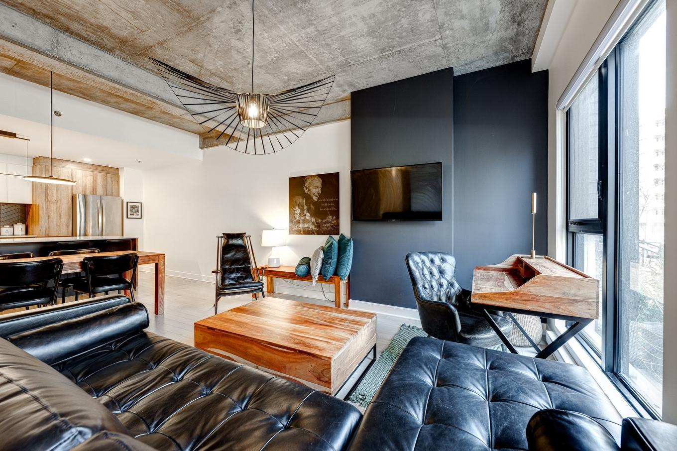 Living room - 117-170 Rue Rioux, Montréal (Le Sud-Ouest), QC - Indoor