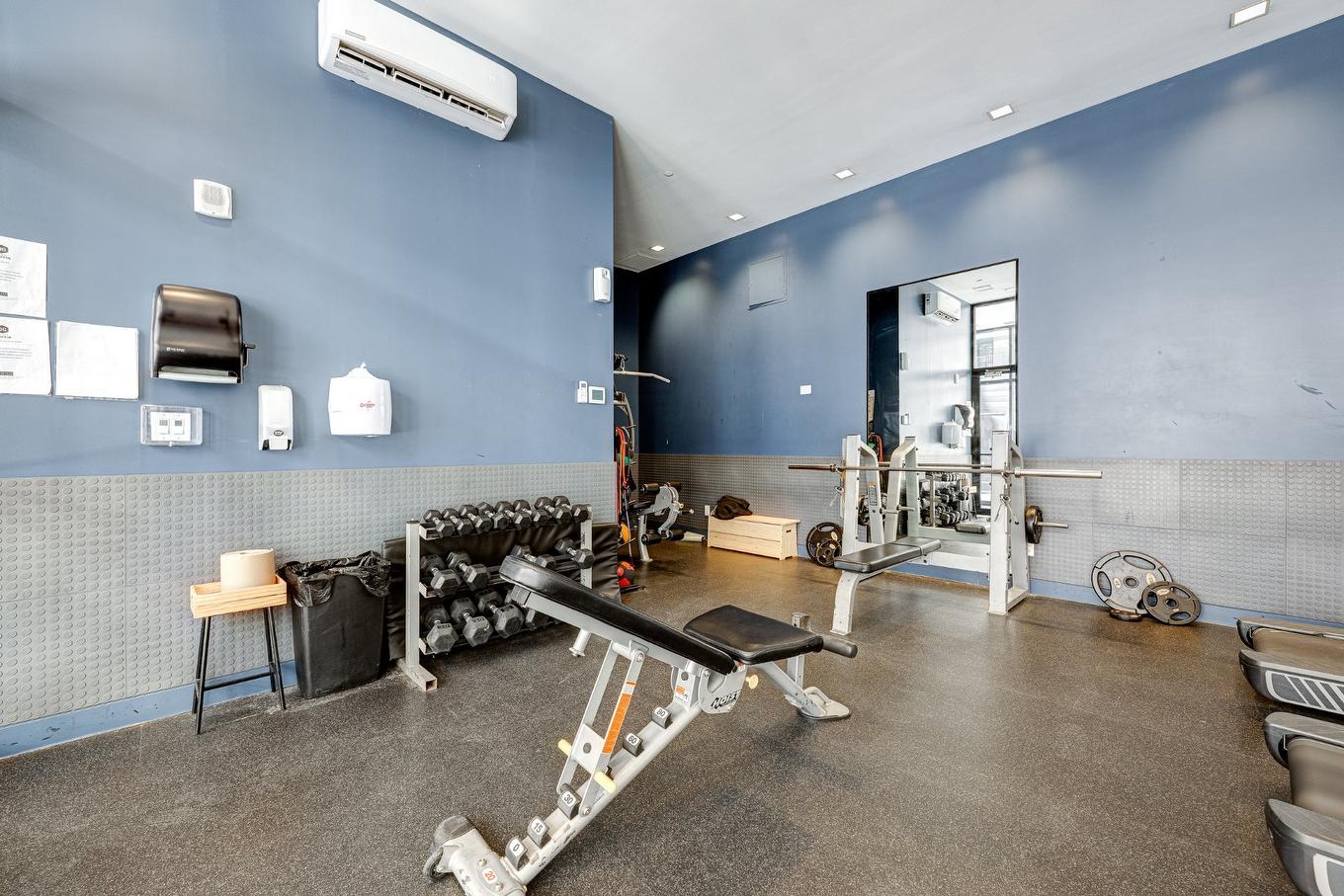 Exercise room - 117-170 Rue Rioux, Montréal (Le Sud-Ouest), QC - Indoor Photo Showing Gym Room