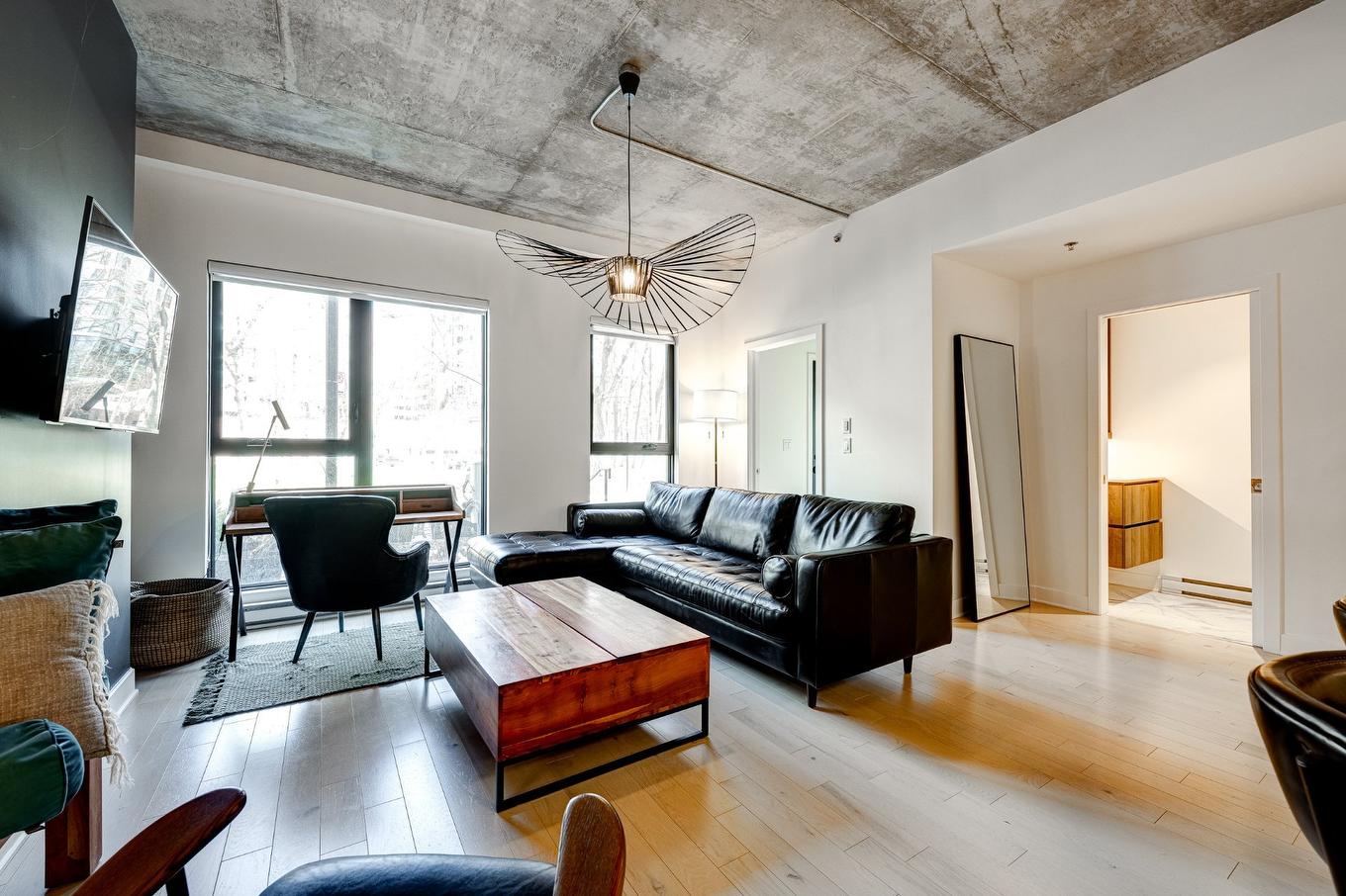 Living room - 117-170 Rue Rioux, Montréal (Le Sud-Ouest), QC - Indoor Photo Showing Living Room