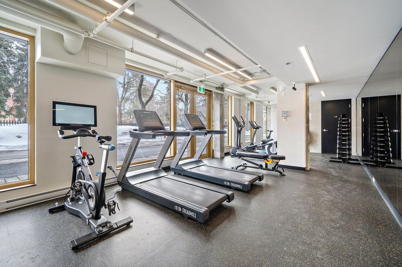 Exercise room - 615-1575 Rue Gareau, Montréal (Ville-Marie), QC - Indoor Photo Showing Gym Room