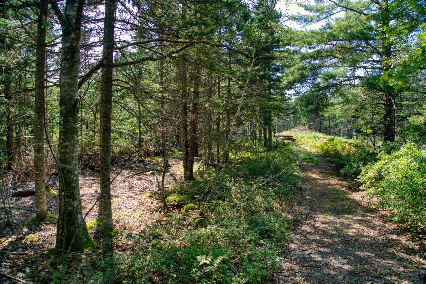 Lot 5 Cooks Brook, Bayport, NS