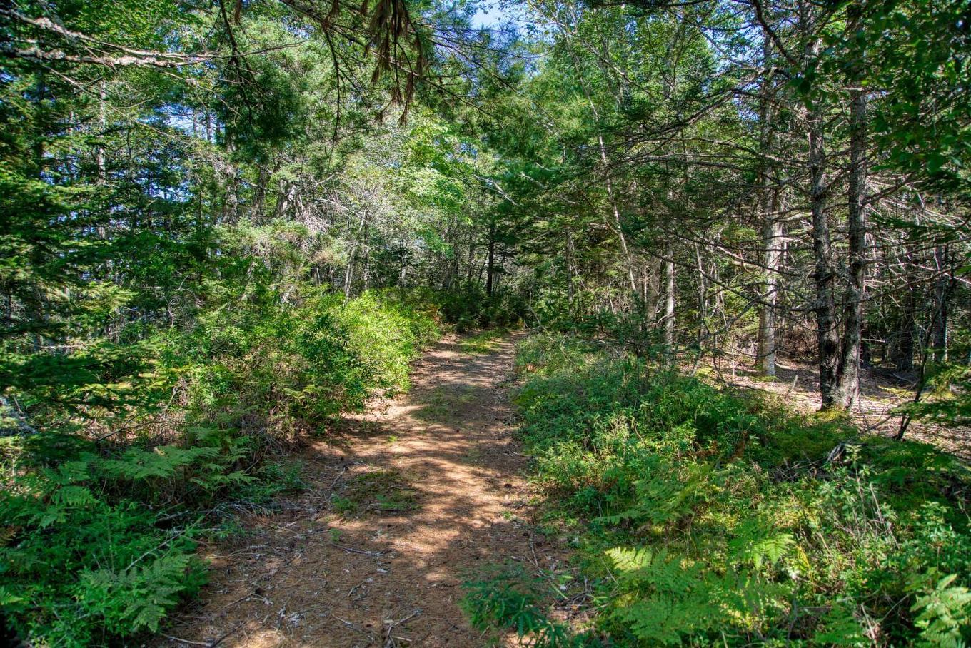 Lot 5 Cooks Brook, Bayport, NS