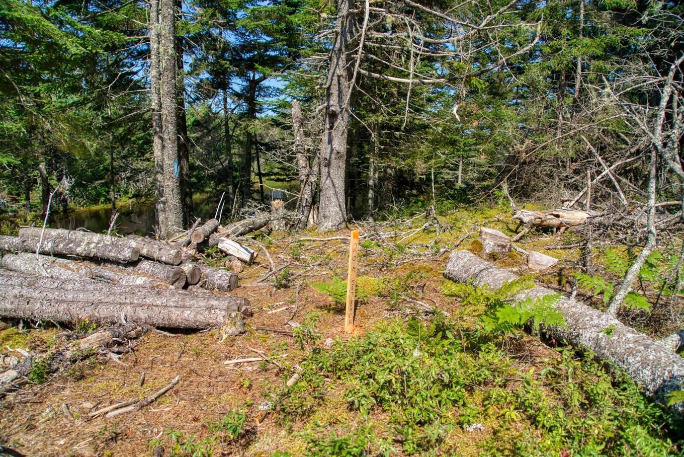 Lot 5 Cooks Brook, Bayport, NS