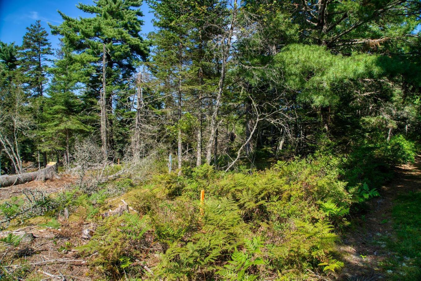 Lot 5 Cooks Brook, Bayport, NS