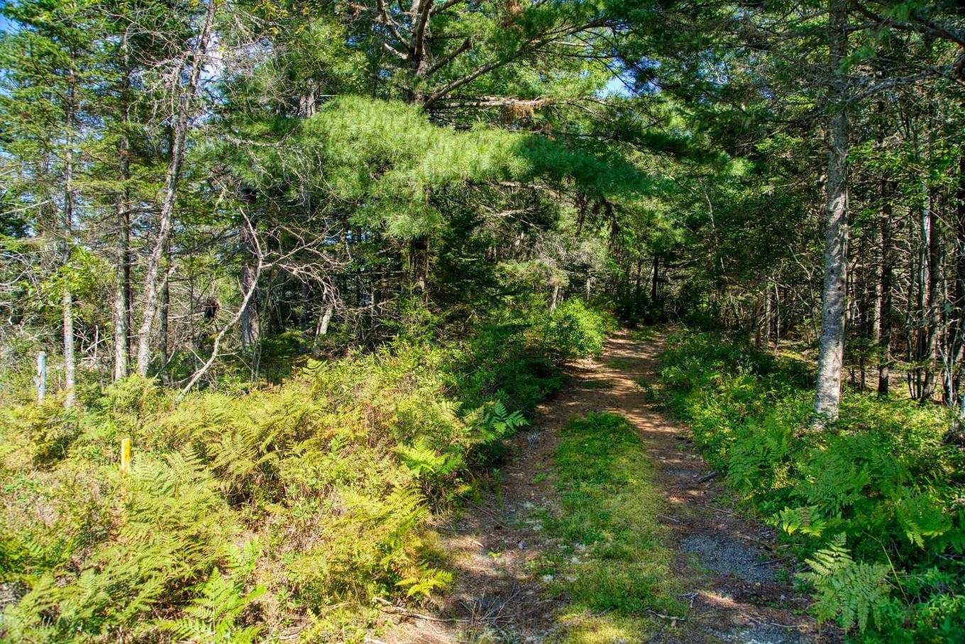 Lot 5 Cooks Brook, Bayport, NS