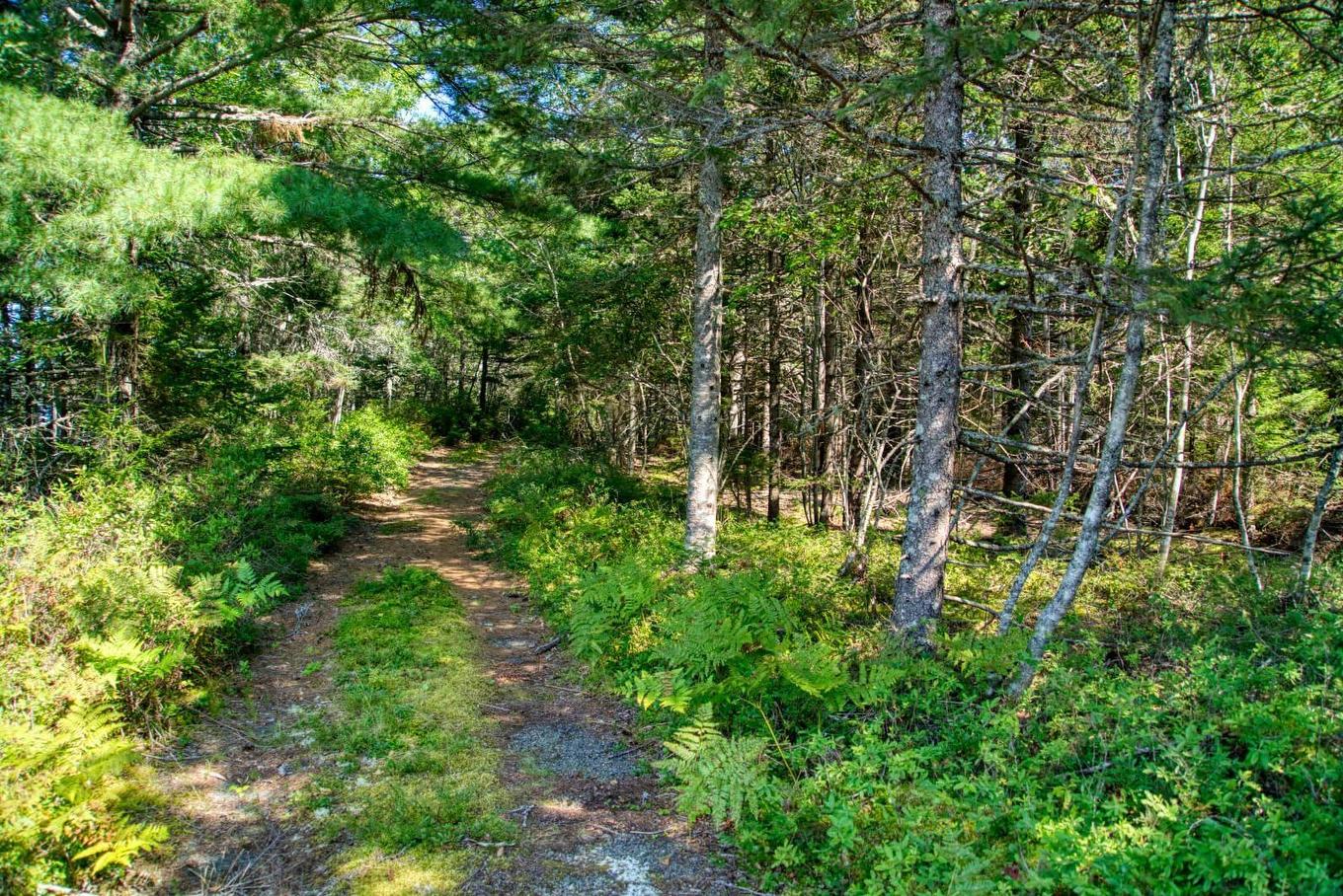Lot 5 Cooks Brook, Bayport, NS