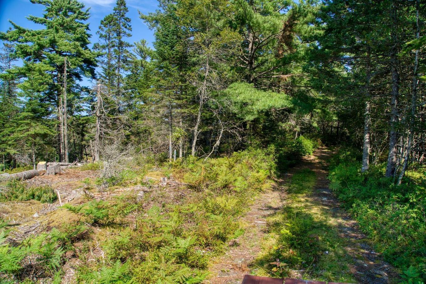Lot 5 Cooks Brook, Bayport, NS