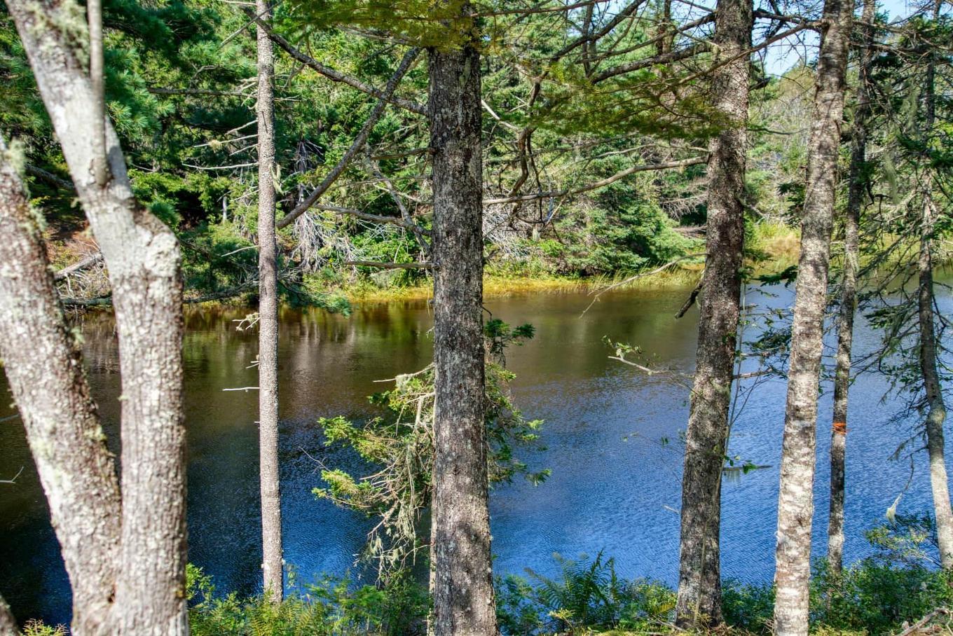 Lot 5 Cooks Brook, Bayport, NS