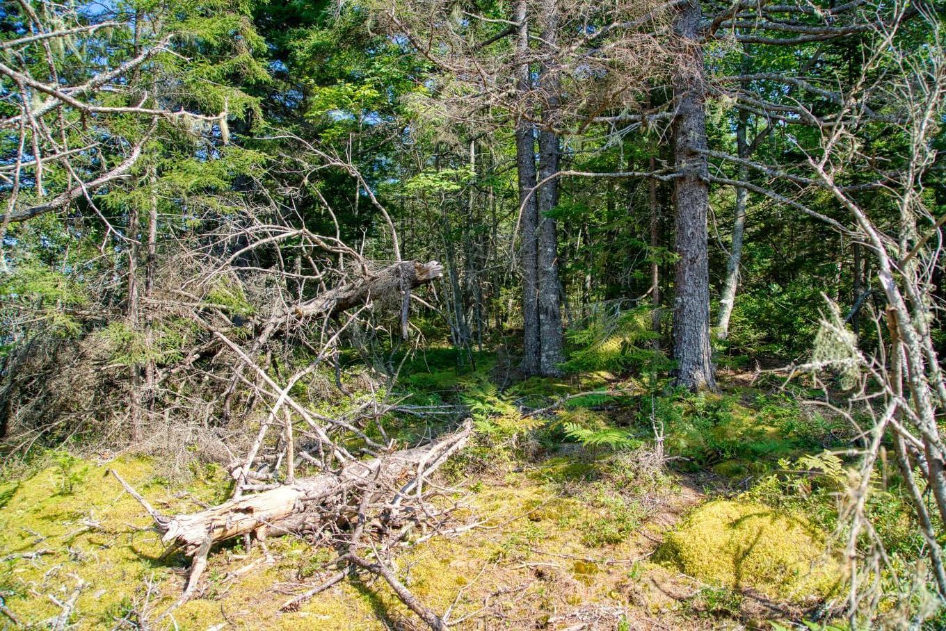 Lot 5 Cooks Brook, Bayport, NS