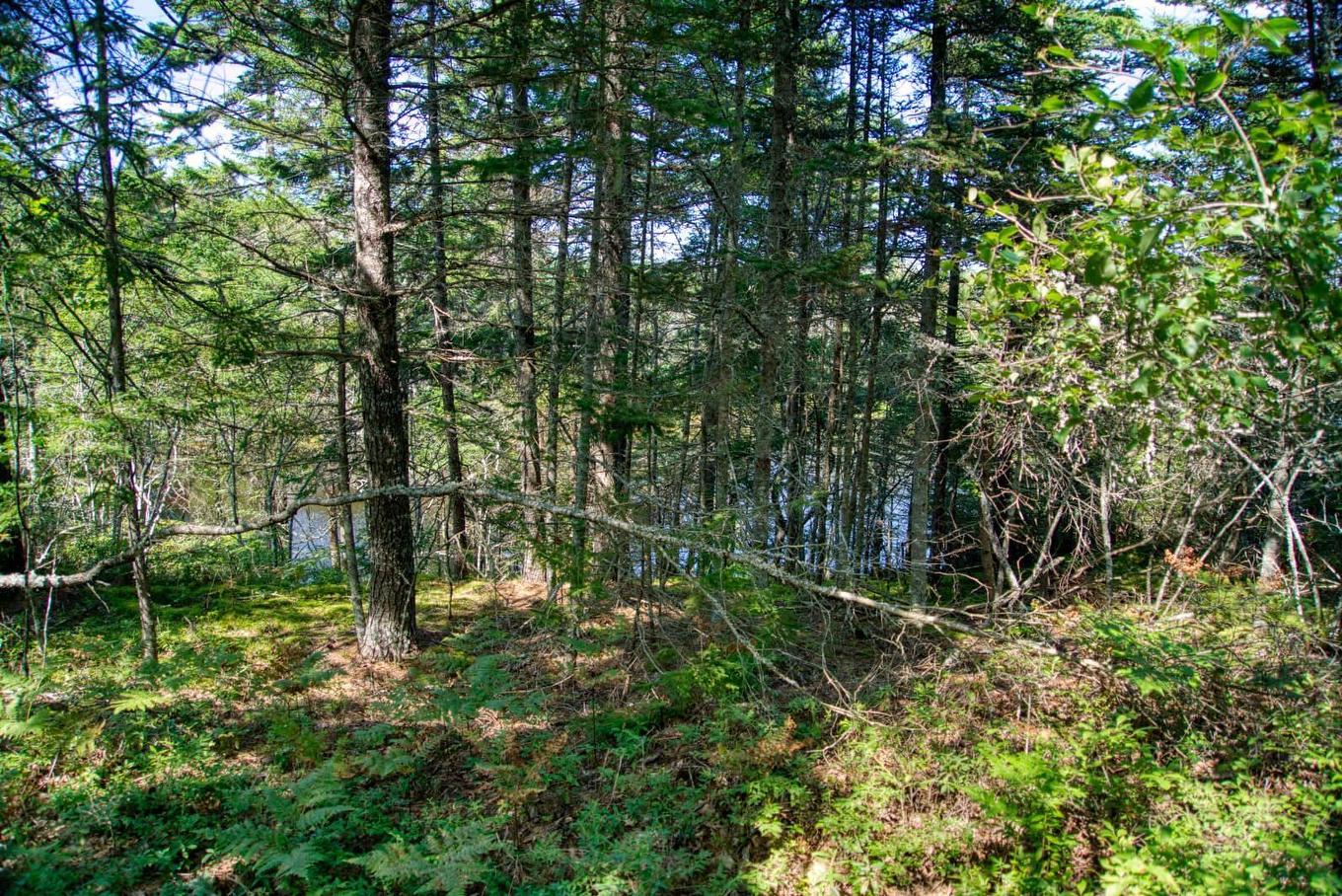 Lot 5 Cooks Brook, Bayport, NS