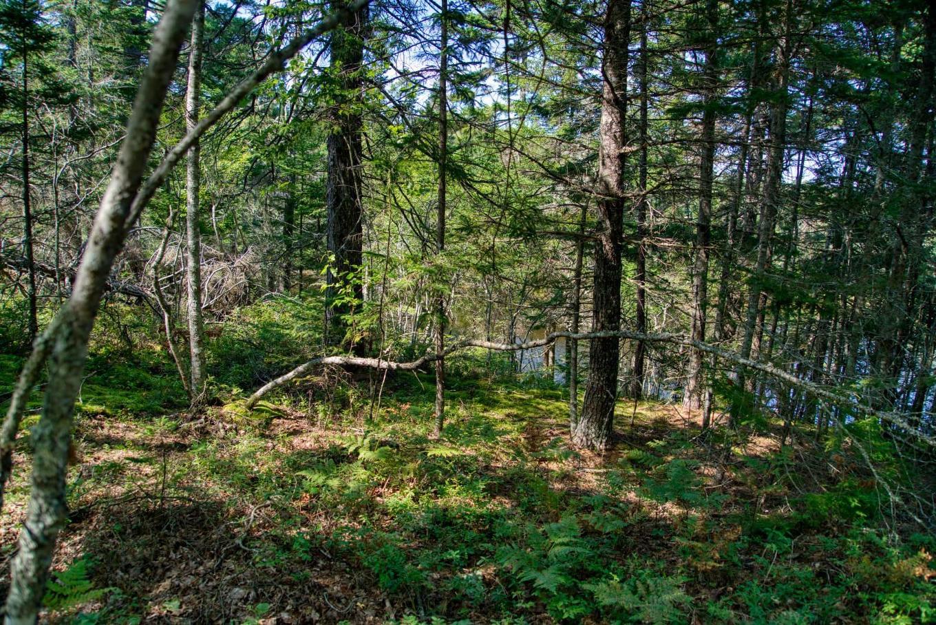 Lot 5 Cooks Brook, Bayport, NS