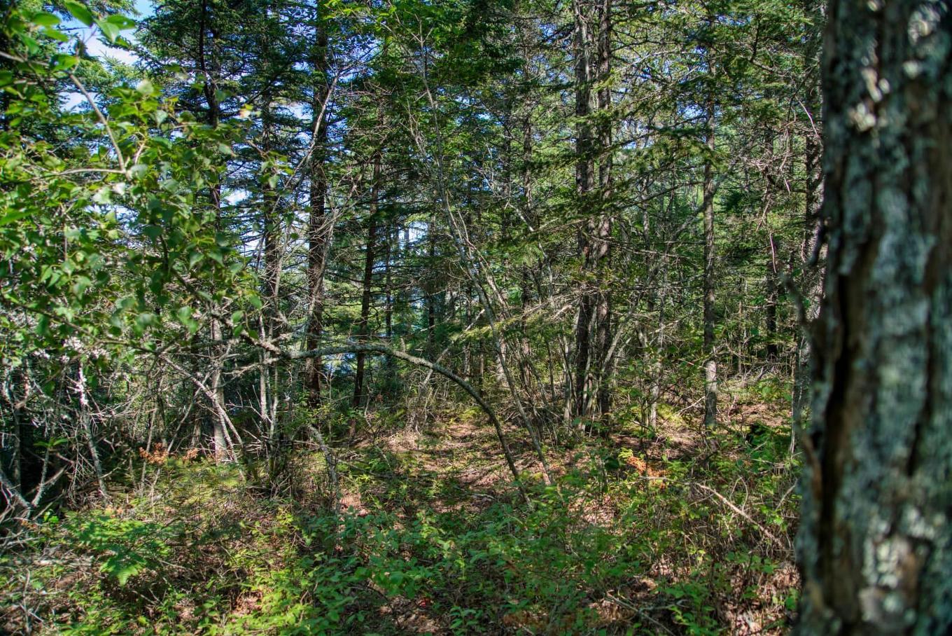 Lot 5 Cooks Brook, Bayport, NS