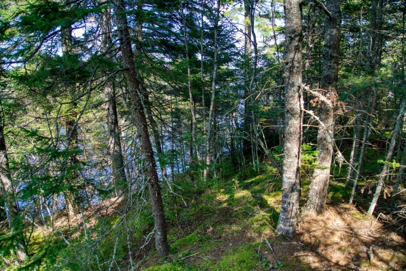 Lot 5 Cooks Brook, Bayport, NS