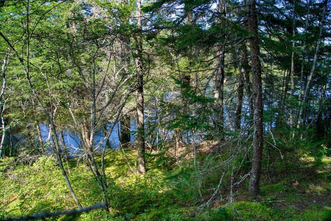 Lot 5 Cooks Brook, Bayport, NS