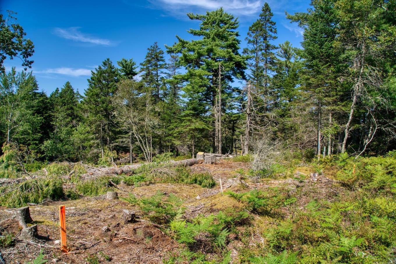 Lot 5 Cooks Brook, Bayport, NS