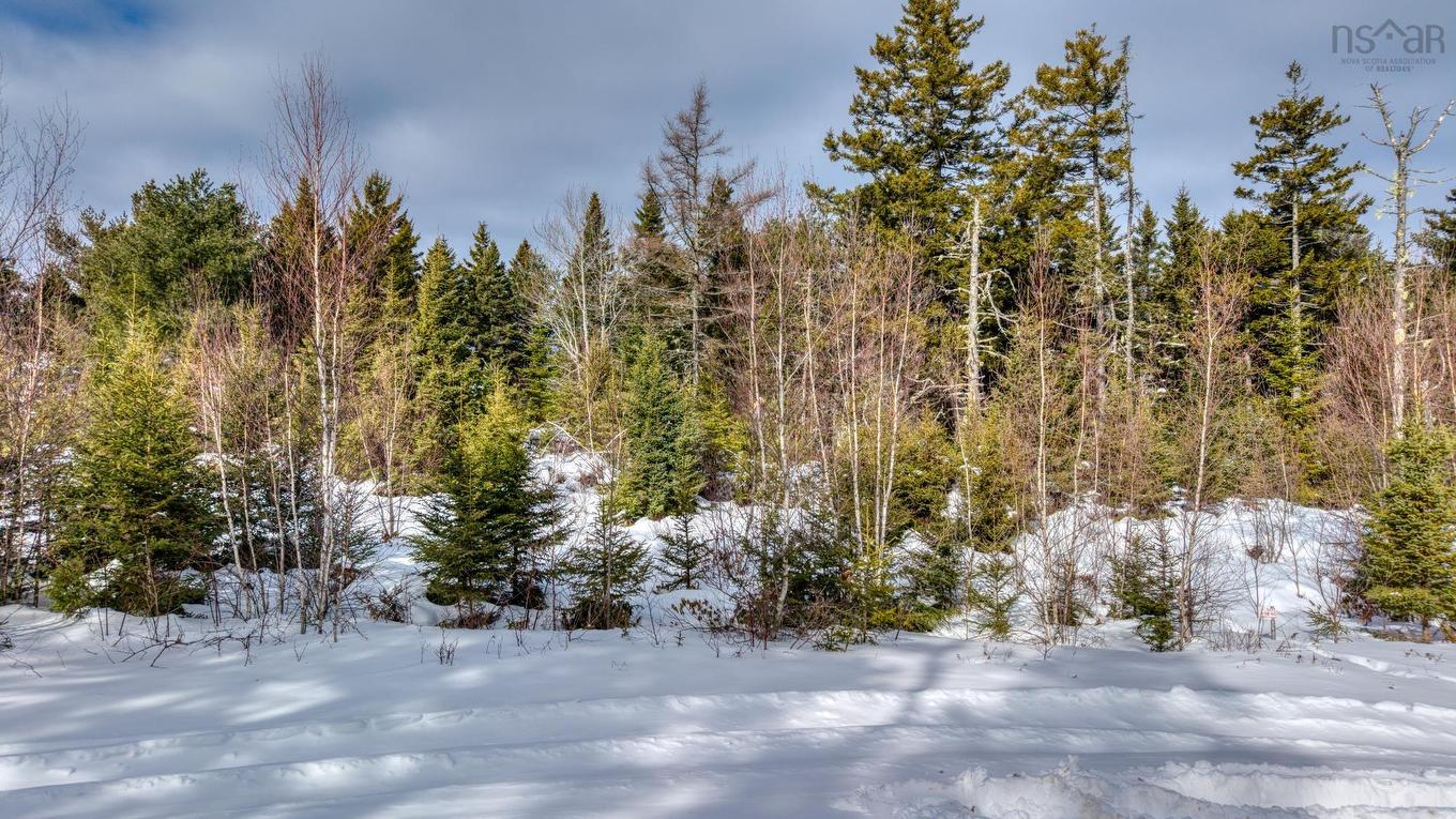 Lot 5 Cooks Brook, Bayport, NS