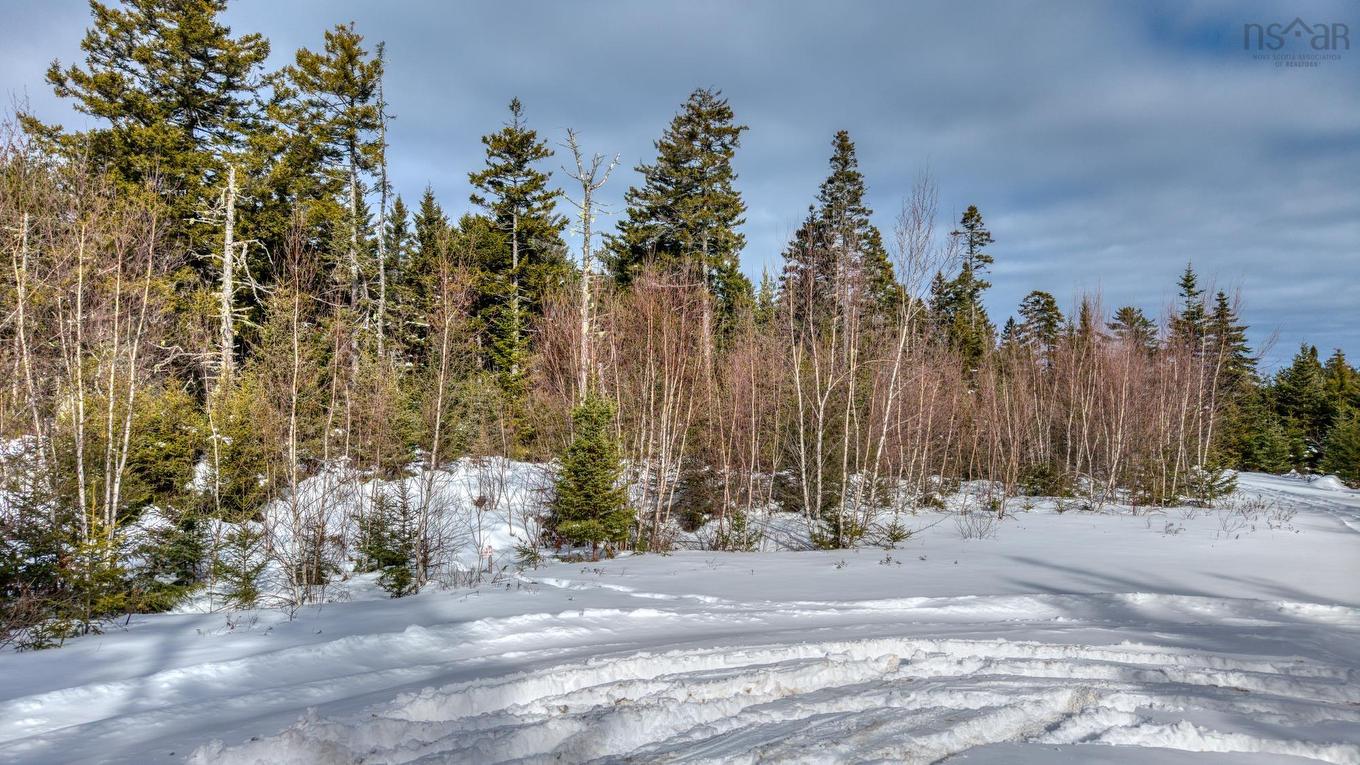 Lot 5 Cooks Brook, Bayport, NS