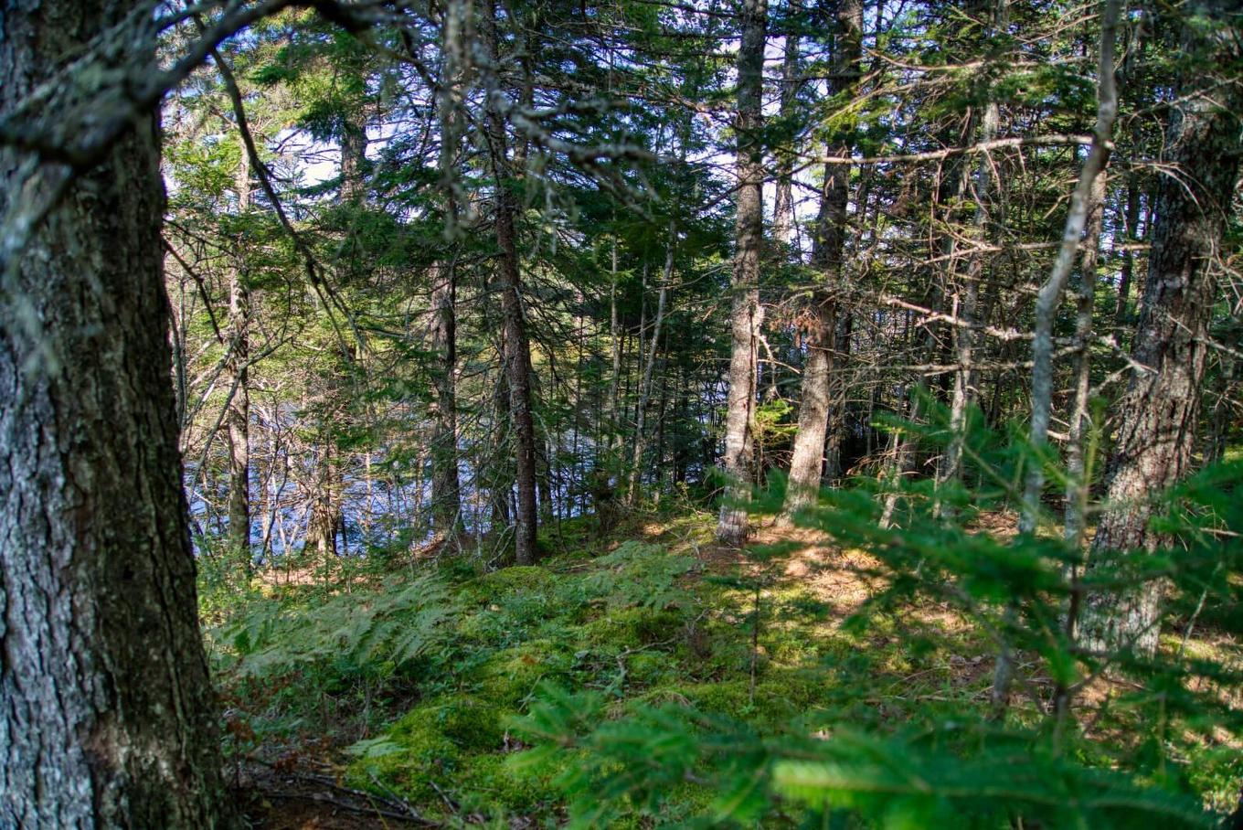 Lot 5 Cooks Brook, Bayport, NS