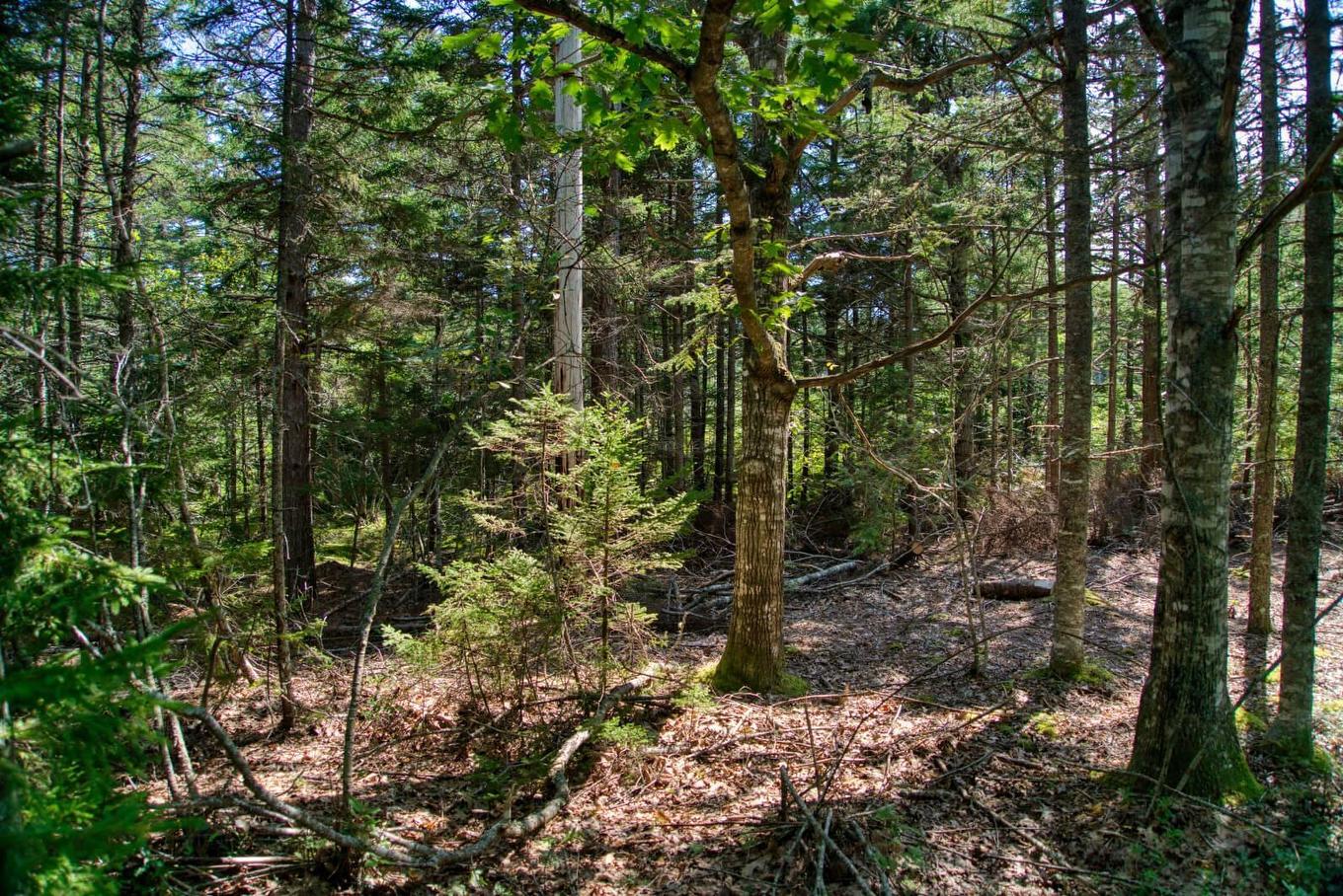 Lot 5 Cooks Brook, Bayport, NS