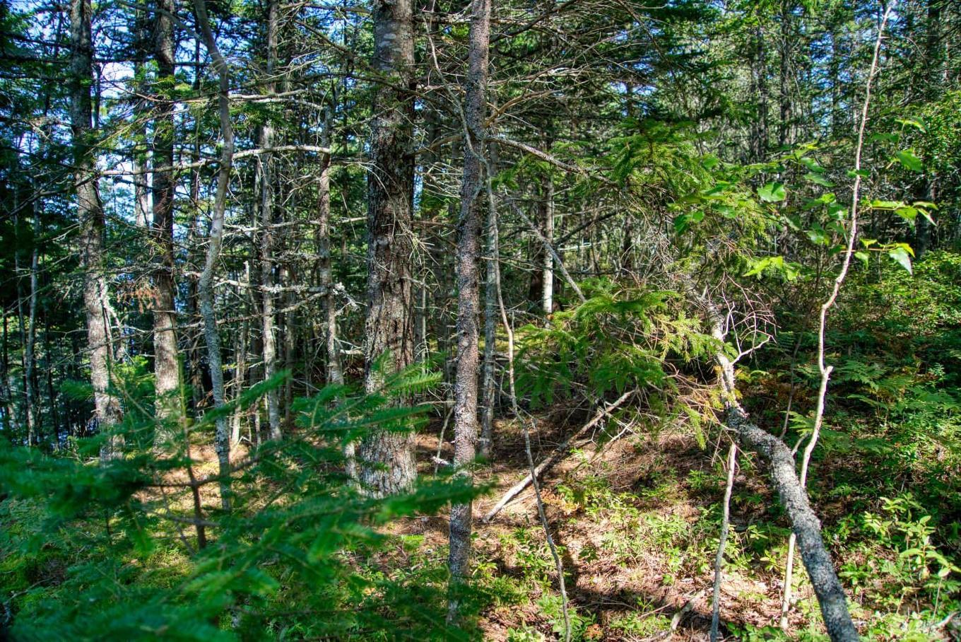 Lot 5 Cooks Brook, Bayport, NS