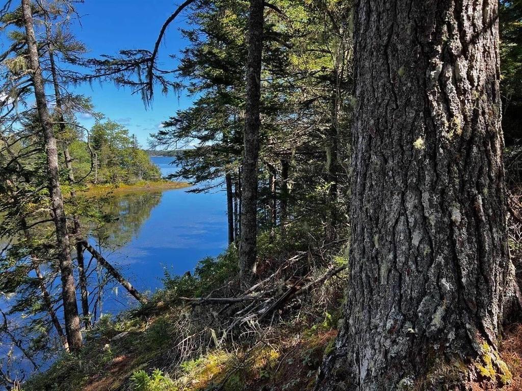 Lot 5 Cooks Brook, Bayport, NS