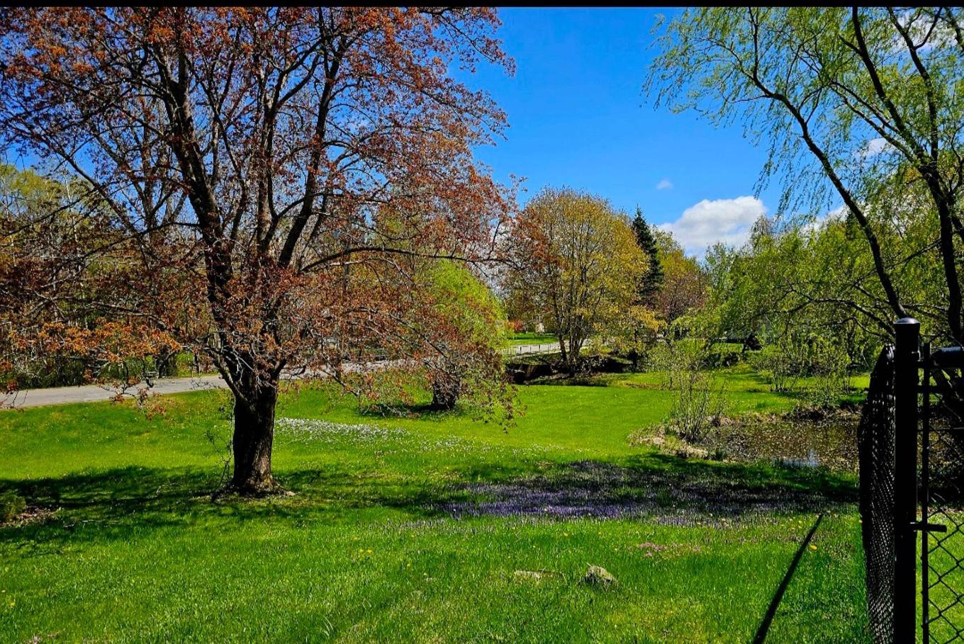 3 Reagh Avenue, Middleton, NS