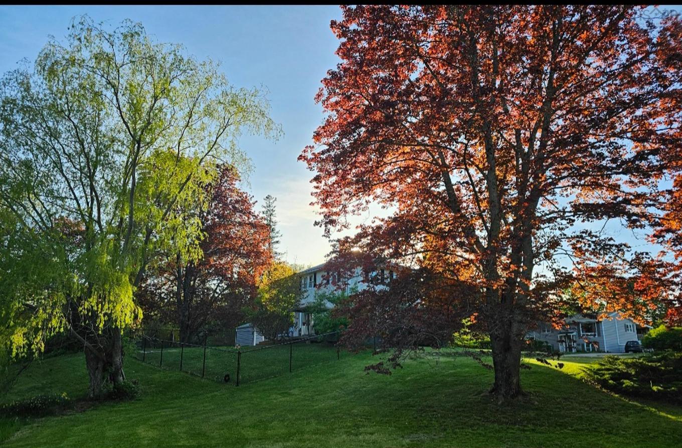 3 Reagh Avenue, Middleton, NS
