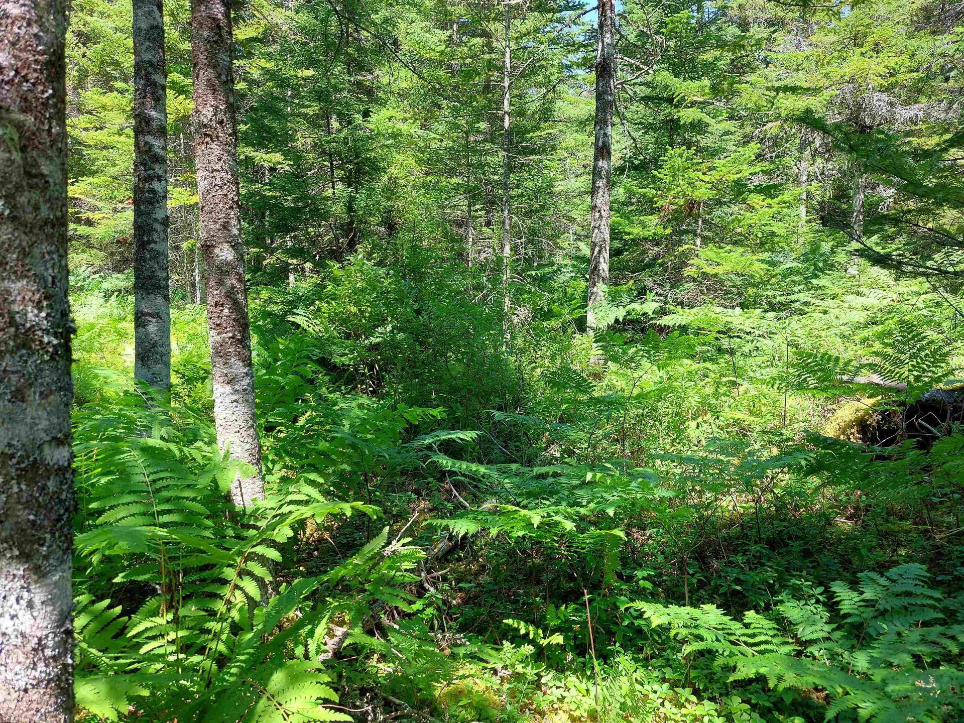 Lot 47E Widow Point Loop, West Bay Marshes, NS