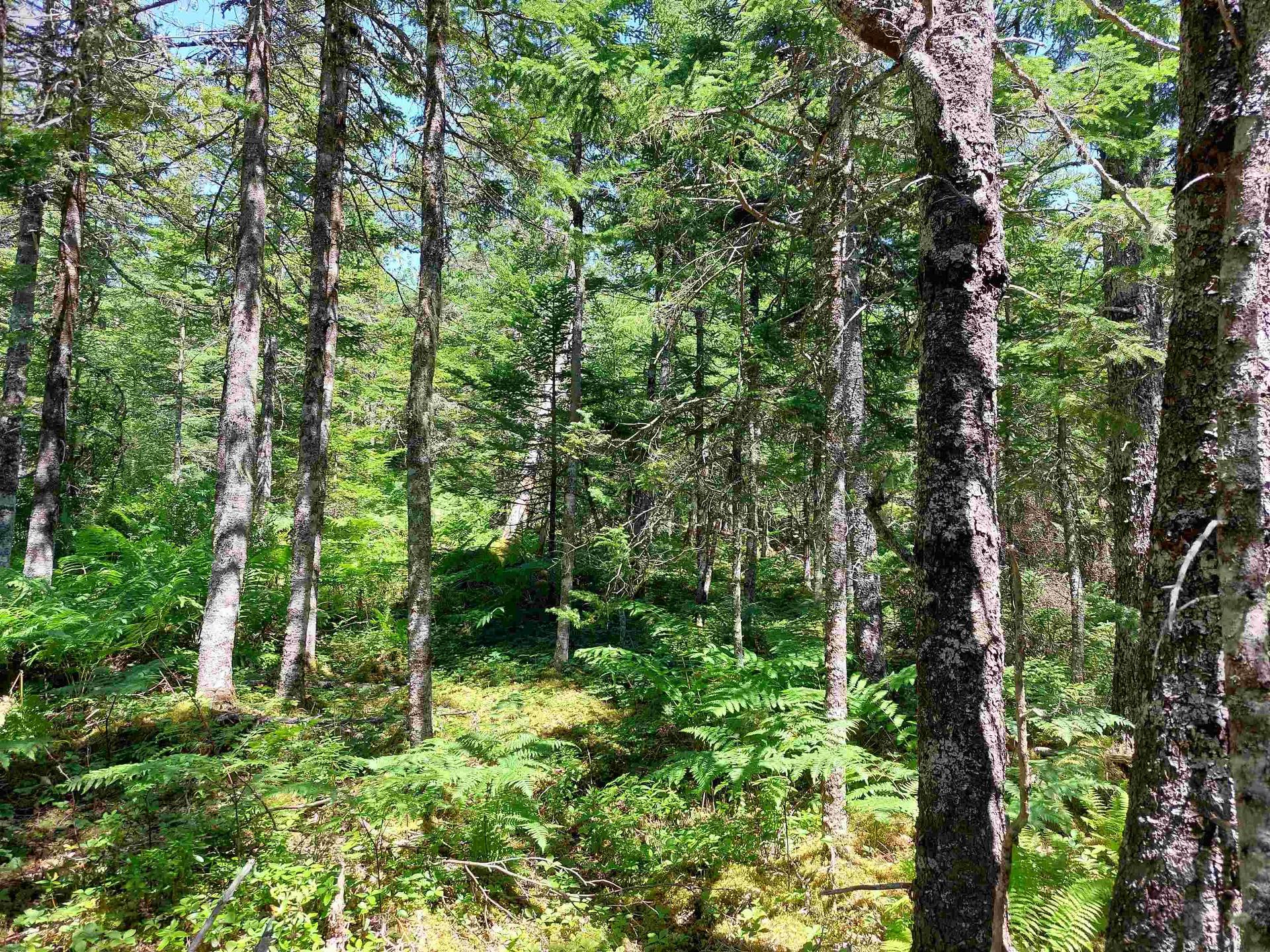 Lot 47E Widow Point Loop, West Bay Marshes, NS