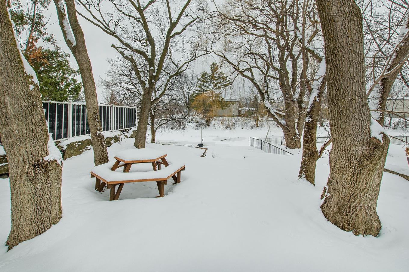 Backyard - 4727 Crois. Des Îles, Laval (Chomedey), QC - Outdoor