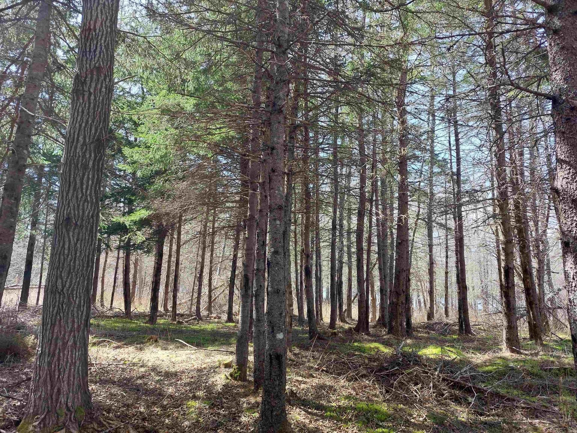 Lot 18 Torus Dr, Macnabs Cove, NS