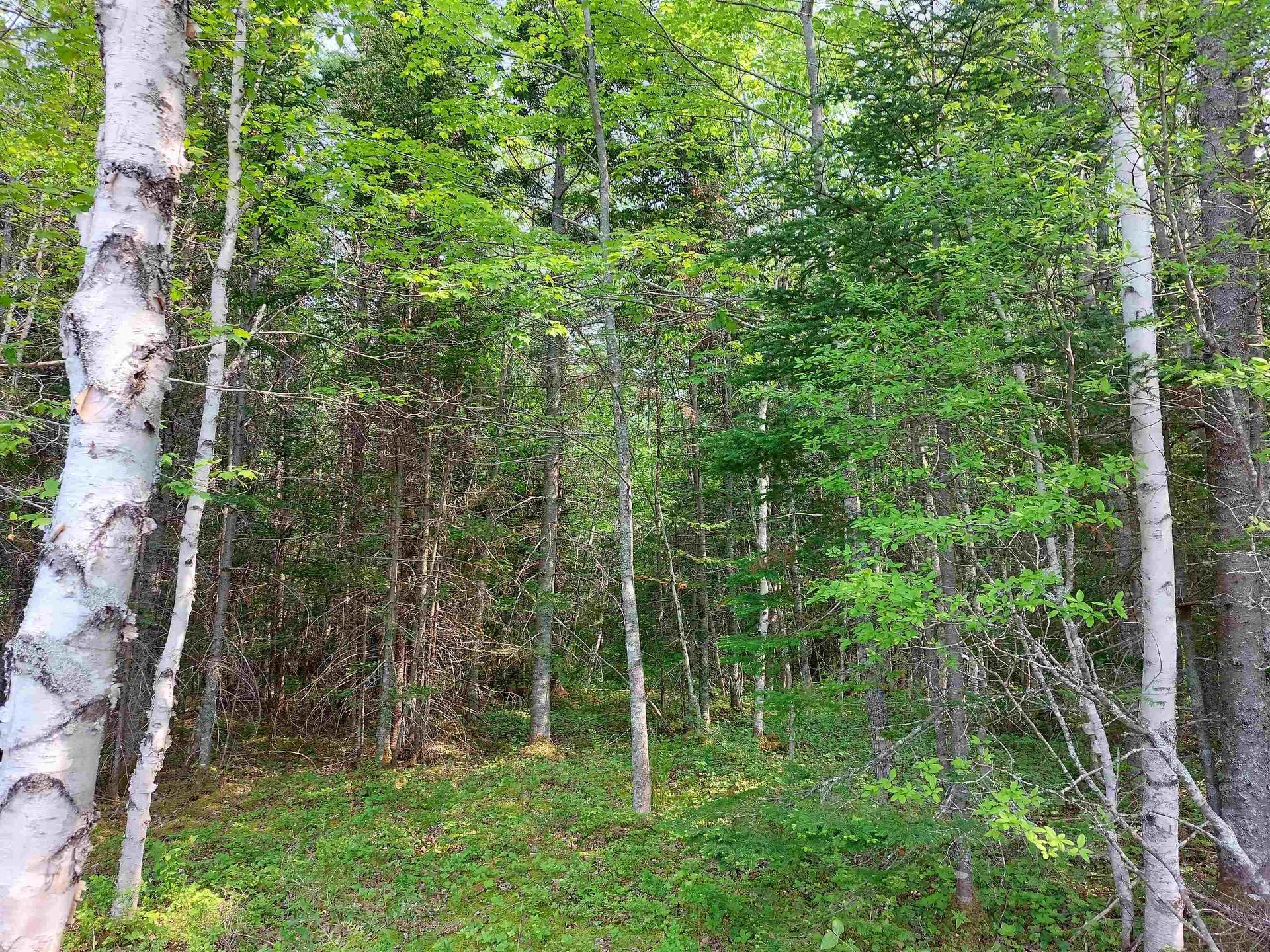 Lot 18 Torus Dr, Macnabs Cove, NS