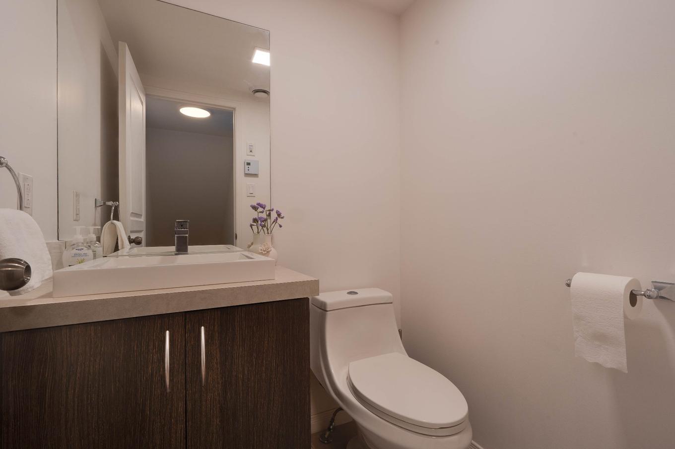 Powder room - 208-18495 Rue J.-A.-Bombardier, Mirabel, QC - Indoor Photo Showing Bathroom