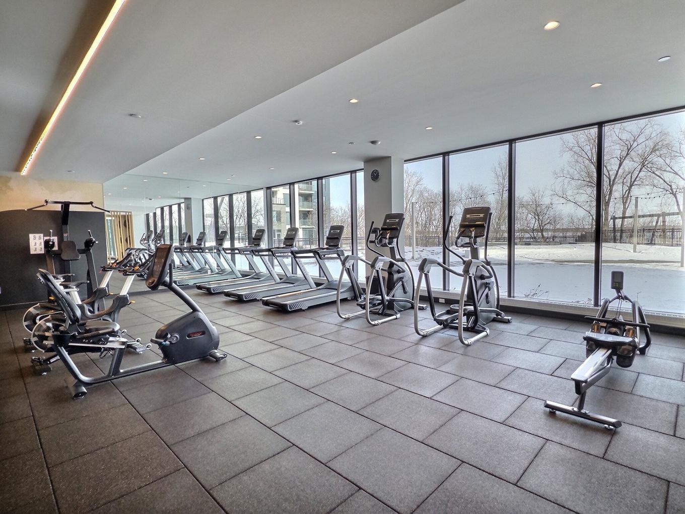 Exercise room - 1005-399 Rue De La Rotonde, Montréal (Verdun/Île-Des-Soeurs), QC - Indoor Photo Showing Gym Room